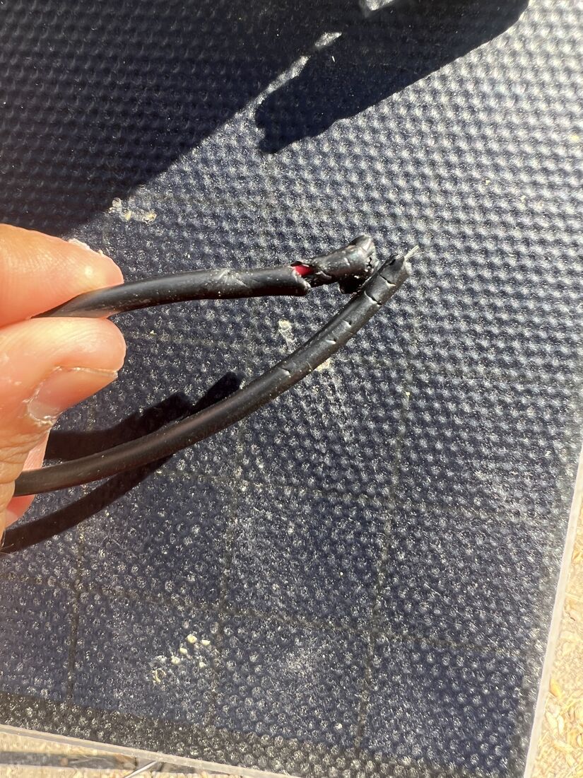 A sensor cable chewed through by wildlife