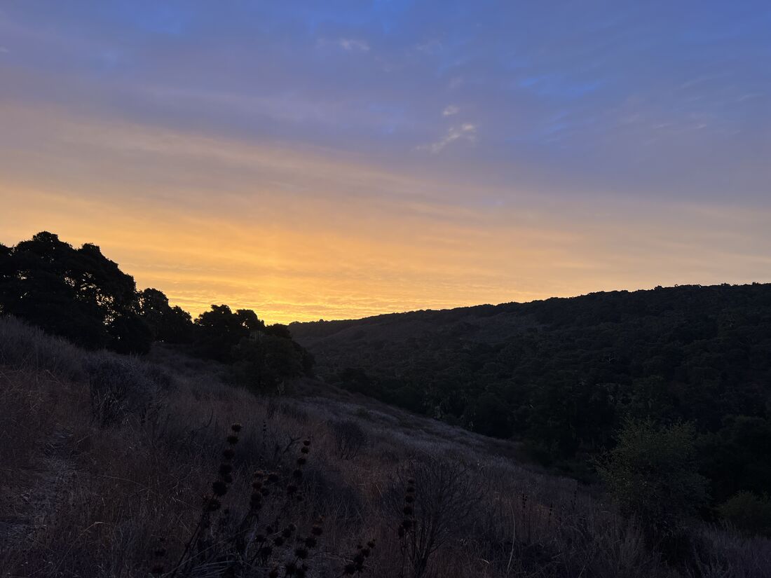 Sunrise over the field site